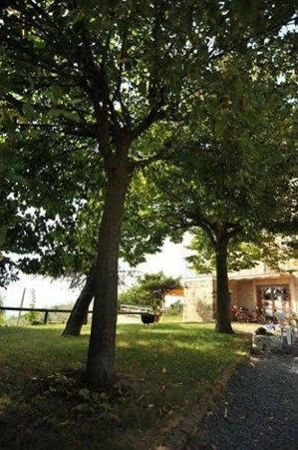 Il Casale Di Mario Villa Montecchio  Buitenkant foto
